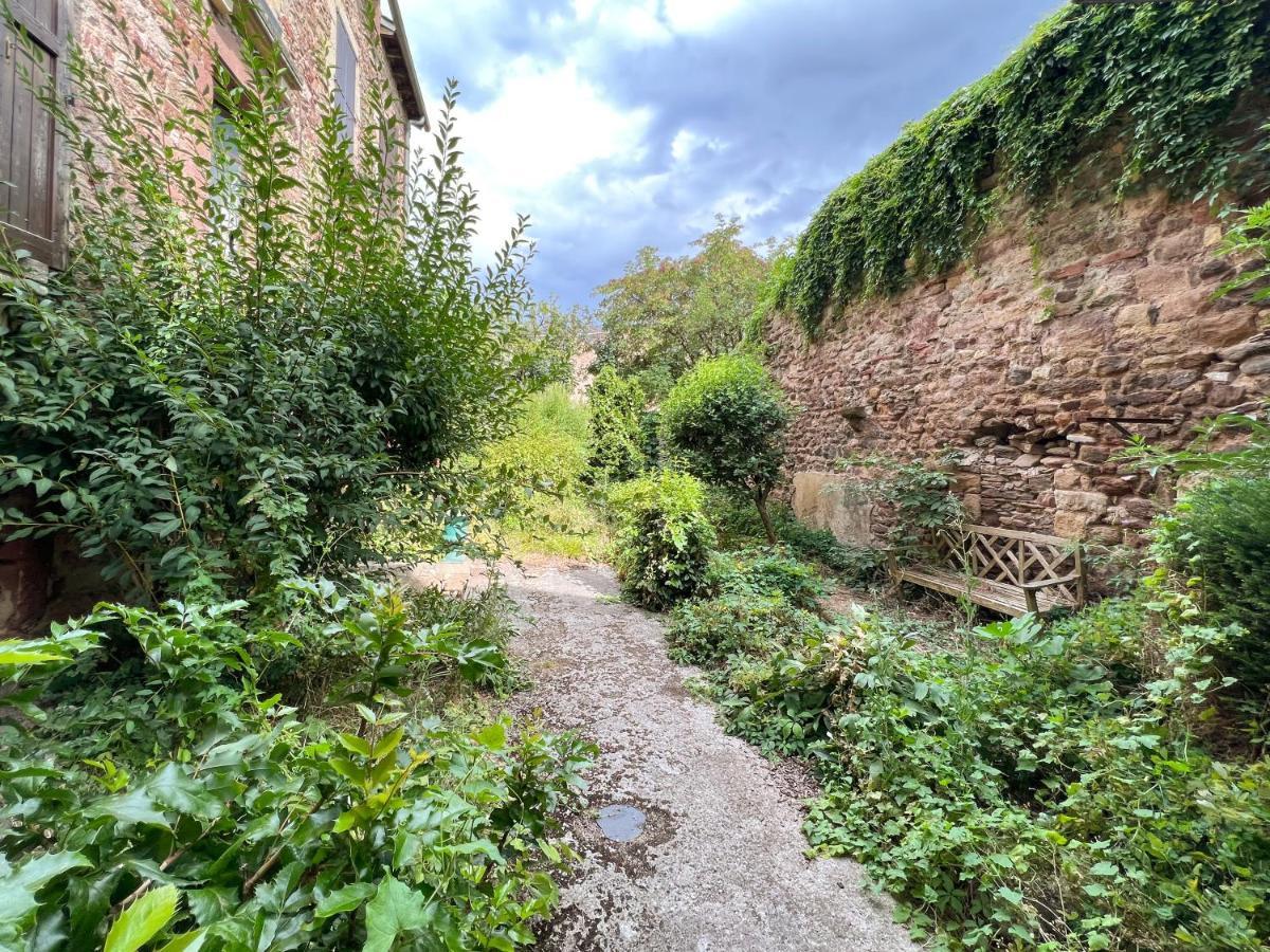 Le Place Du Bourg Appartement T2 Centre Historique Ροντέζ Εξωτερικό φωτογραφία